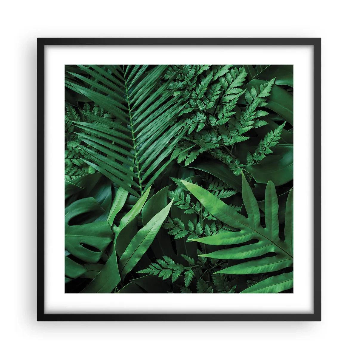 Poszter fehér keretben - Összebújva a zöldben - 50x50 cm
