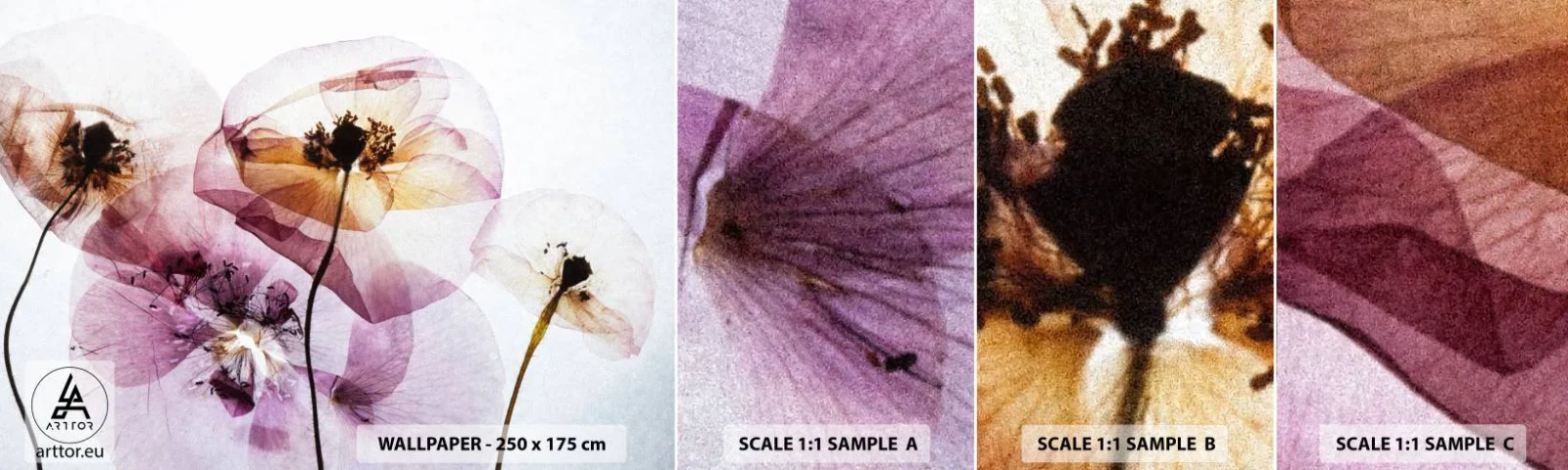 Fotótapéta Minta Standard Eco - Átlátszó virág test - Virágok, Kert, Darab - 100x30 cm