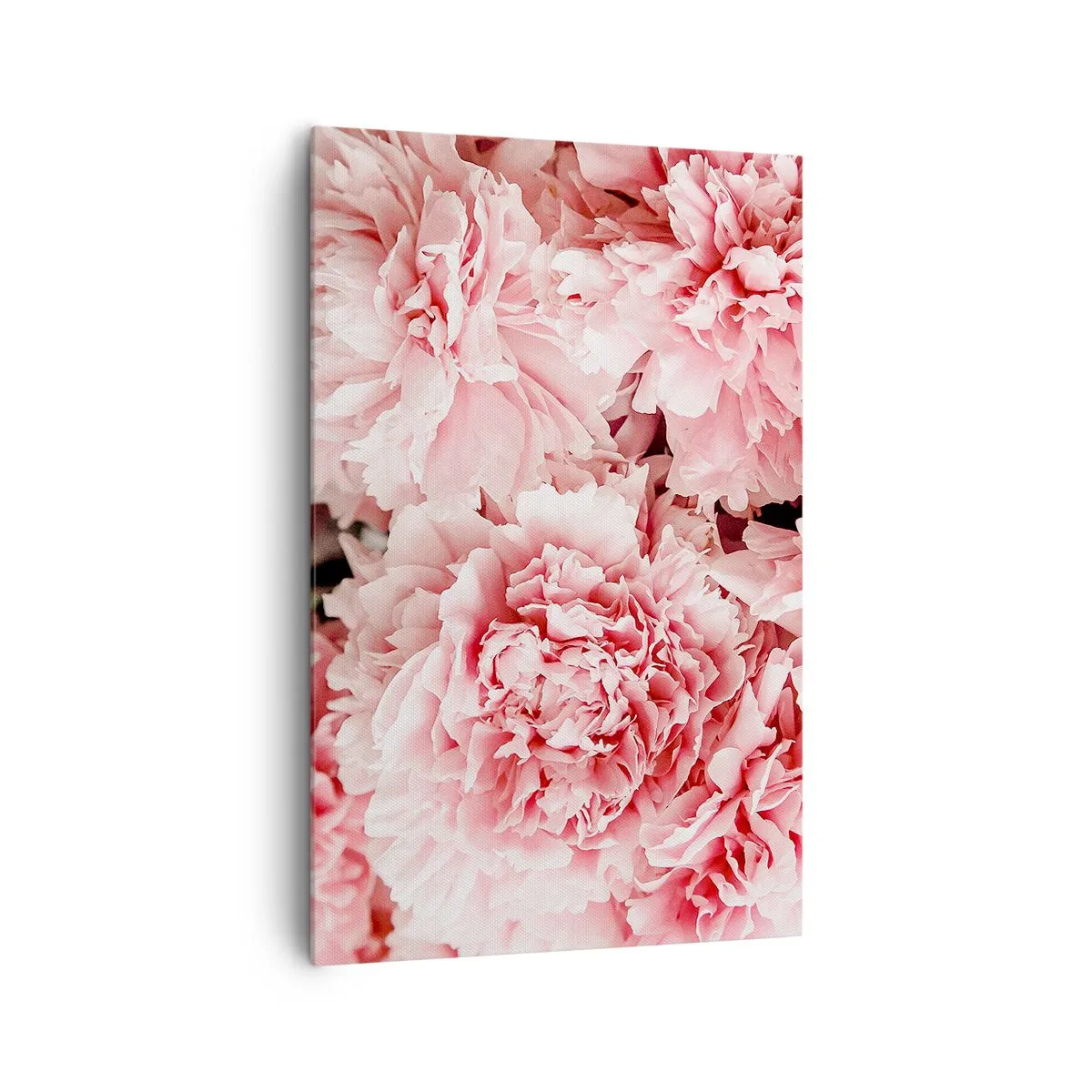 Vászonkép - Rózsaszín álom - 80x120 cm