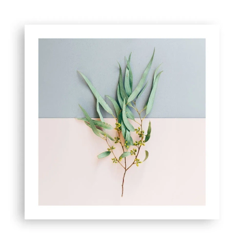 Poszter - Pasztell finomság - 50x50 cm