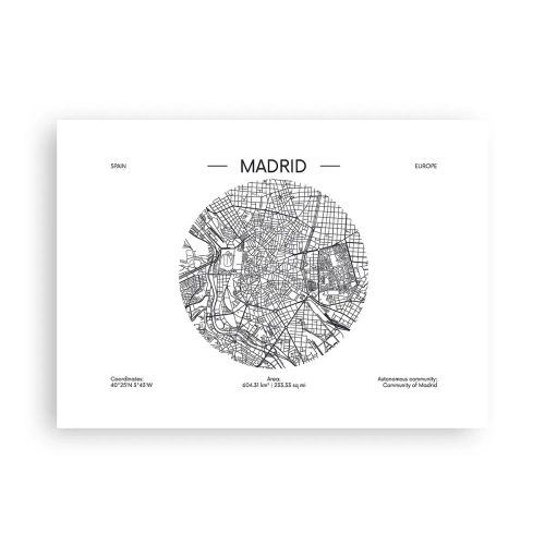 Poszter - Madrid anatómiája - 70x50 cm