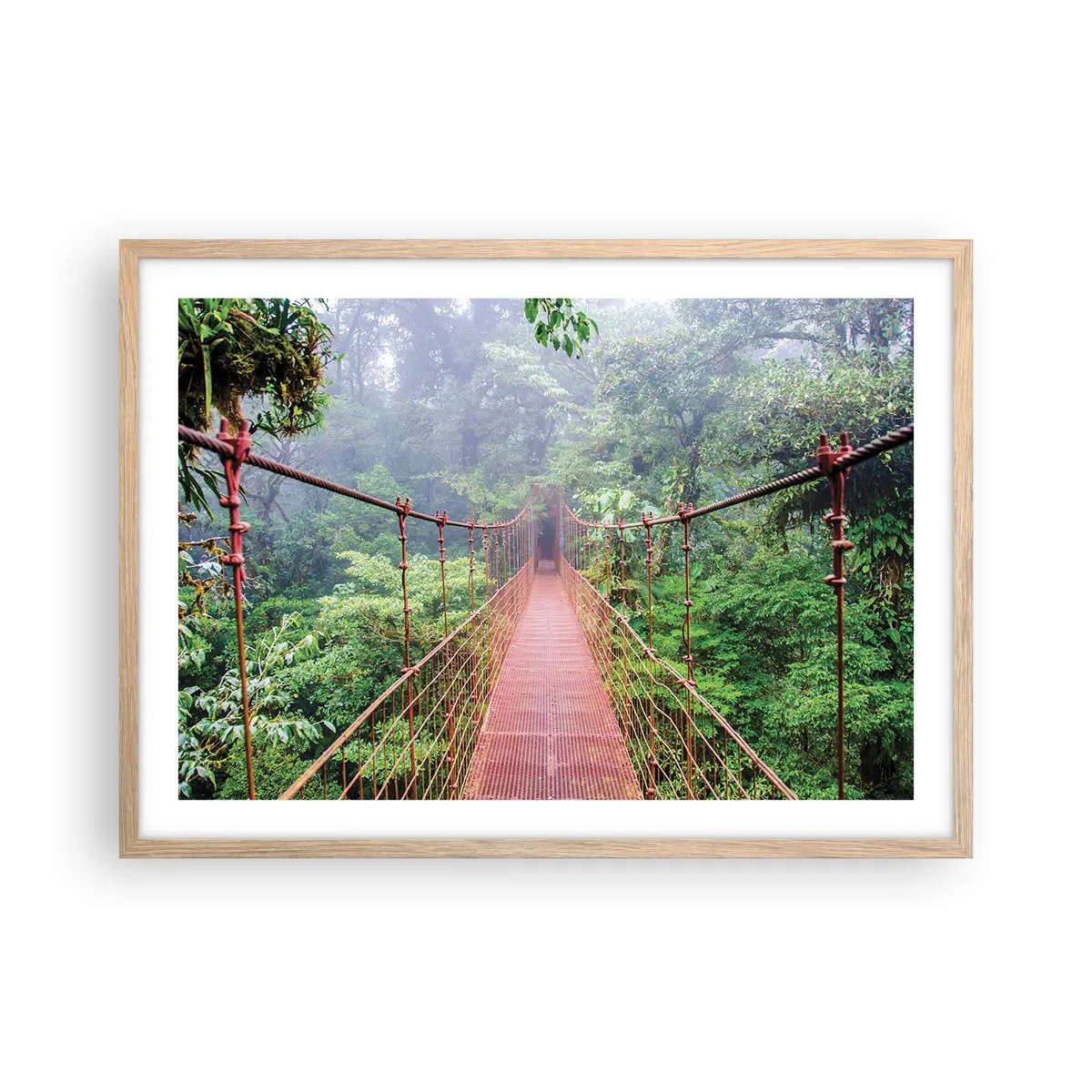 Poszter világos tölgy keretben - A lomkoronák fölé függesztve - 70x50 cm