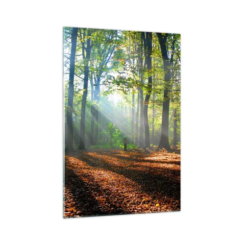 Üveg kép - Ragyogások és árnyékok - 70x100 cm