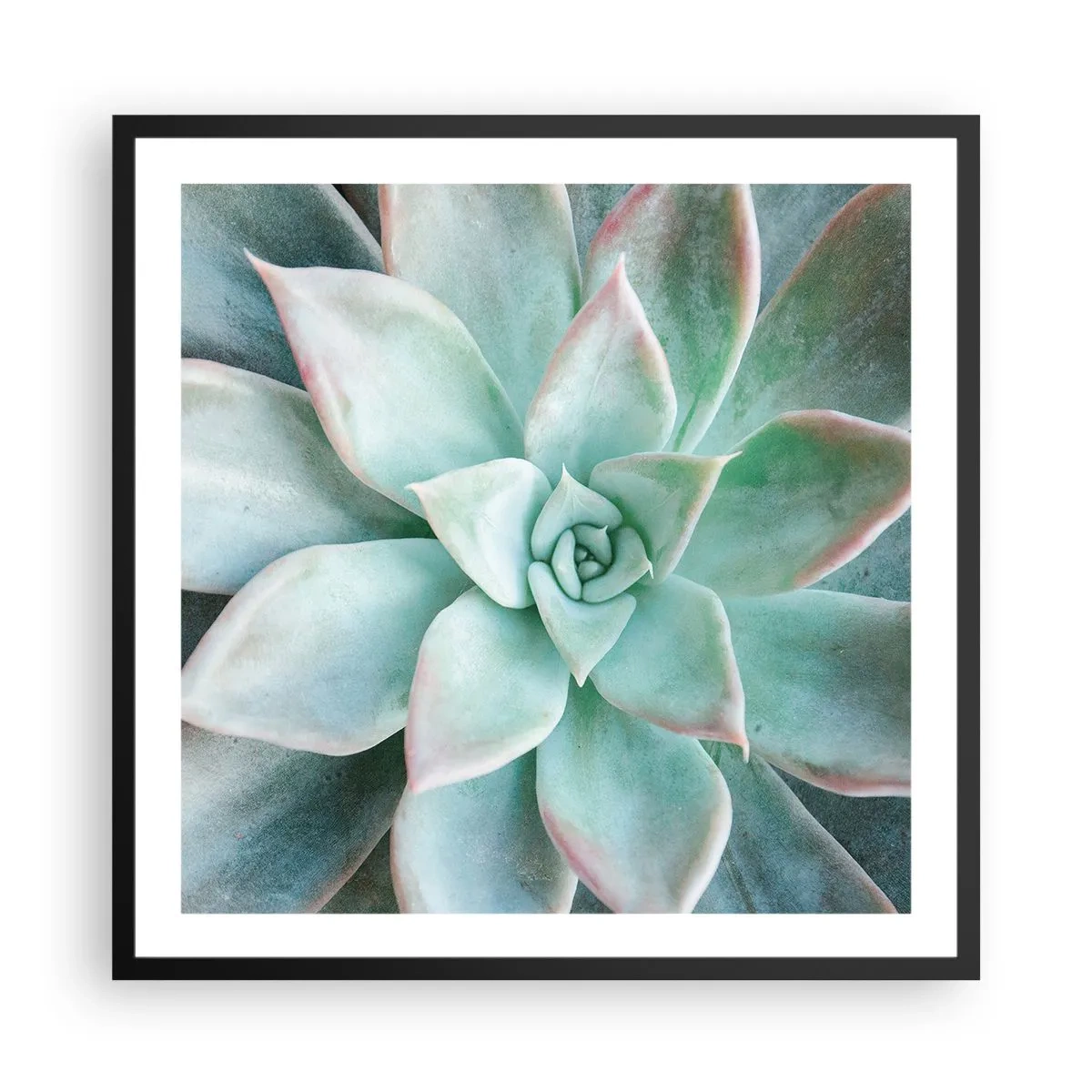 Poszter fehér keretben - A sivatag szíve - 60x60 cm