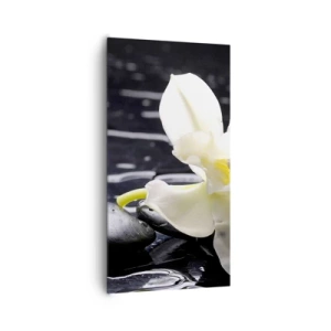 Vászonkép - Egy tanulmány fekete-fehérben - 65x120 cm