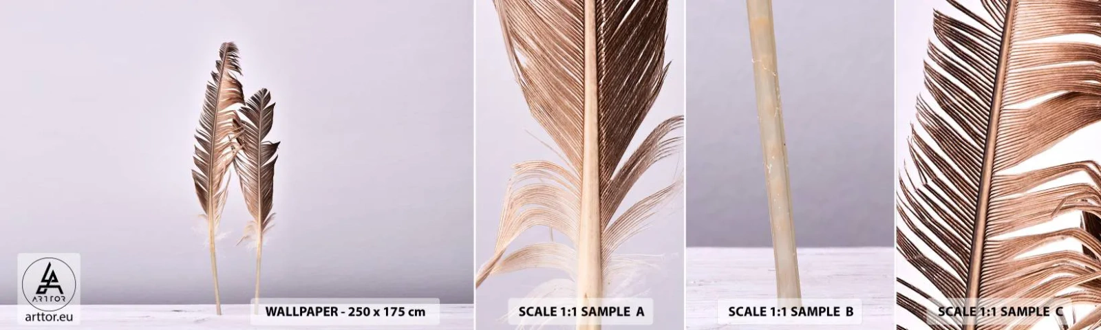 Fotótapéta Minta Standard Eco - A semmi ellen - Madár toll, Darab, Grafika - 100x30 cm