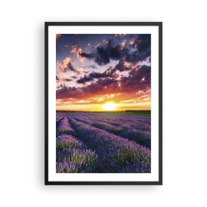Poszter fehér keretben - Levendula mező naplementekor - 50x70cm - Levendula világ - Modern fali dekoráció nappalihoz és hálószobához ARTTOR