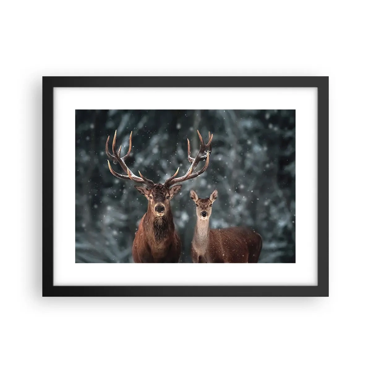 Poszter fehér keretben - Az erdő ura a feleségével - 40x30 cm