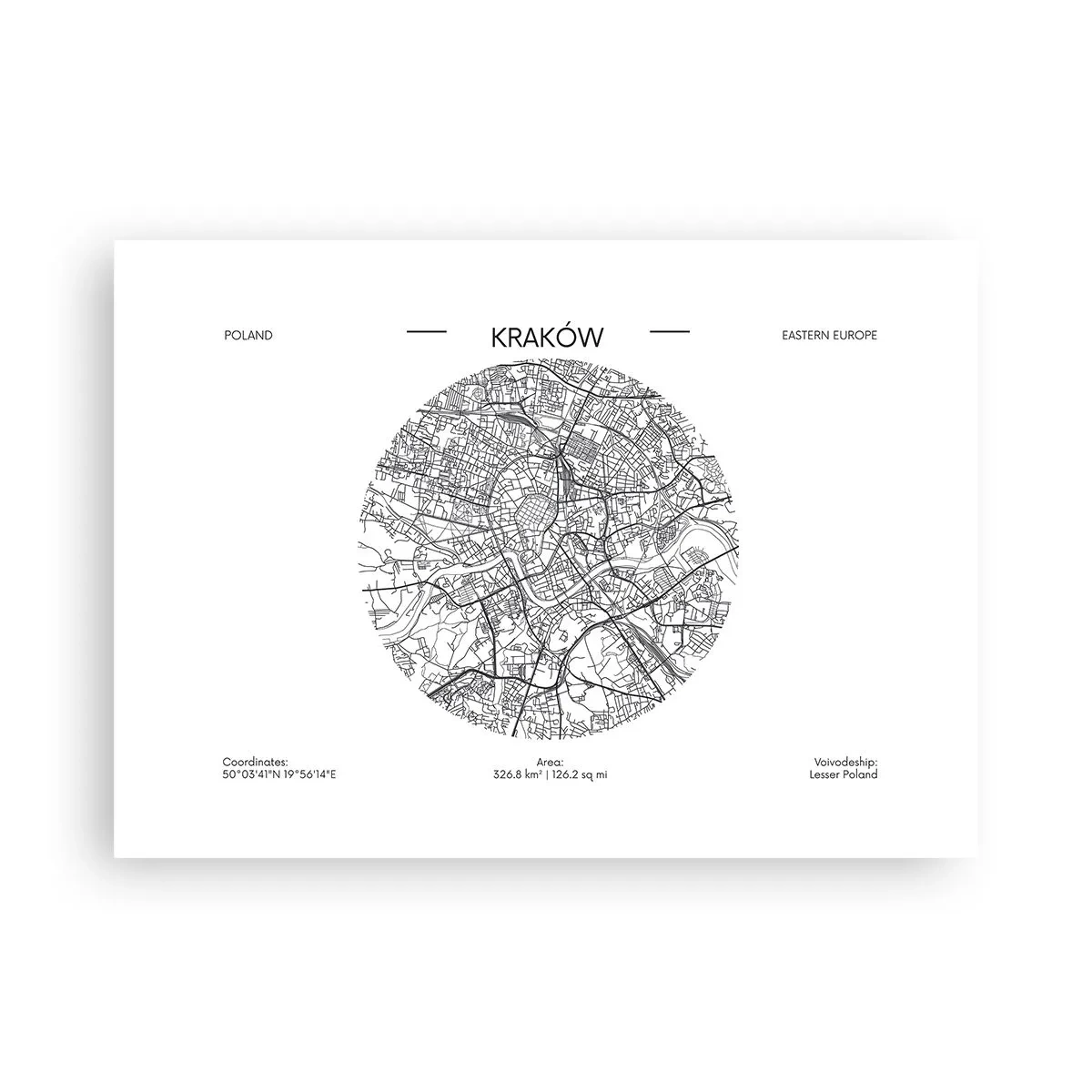 Poszter - Krakkó anatómiája - 70x50 cm