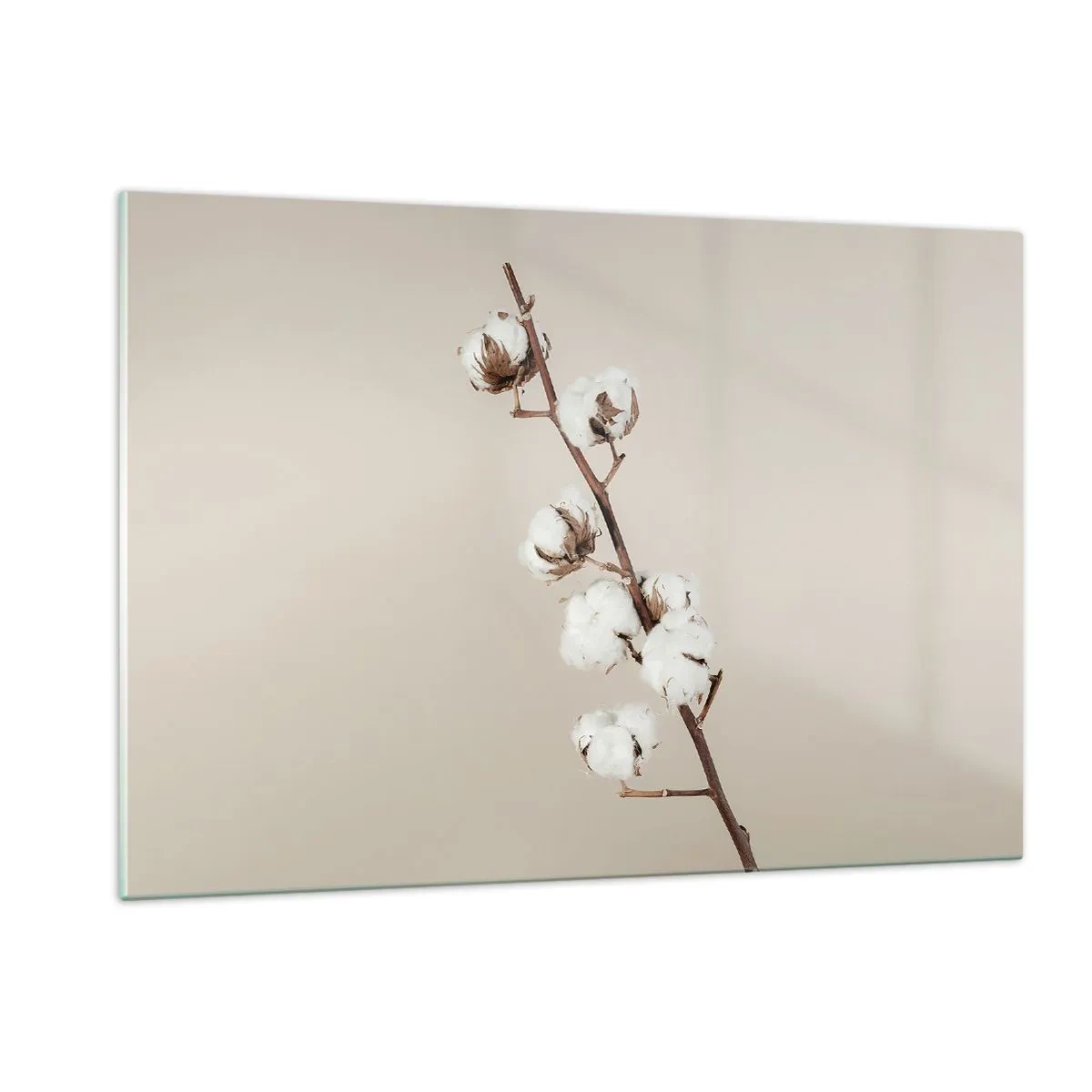 Üveg kép - A puhaság forrásánál - 120x80 cm