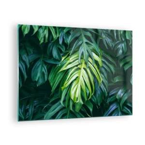 Üveg kép - Buja zöld monstera levelek természetes fényben - 70x50cm - Merüljön el a frissességben - Modern fali dekoráció nappalihoz és hálószobához ARTTOR