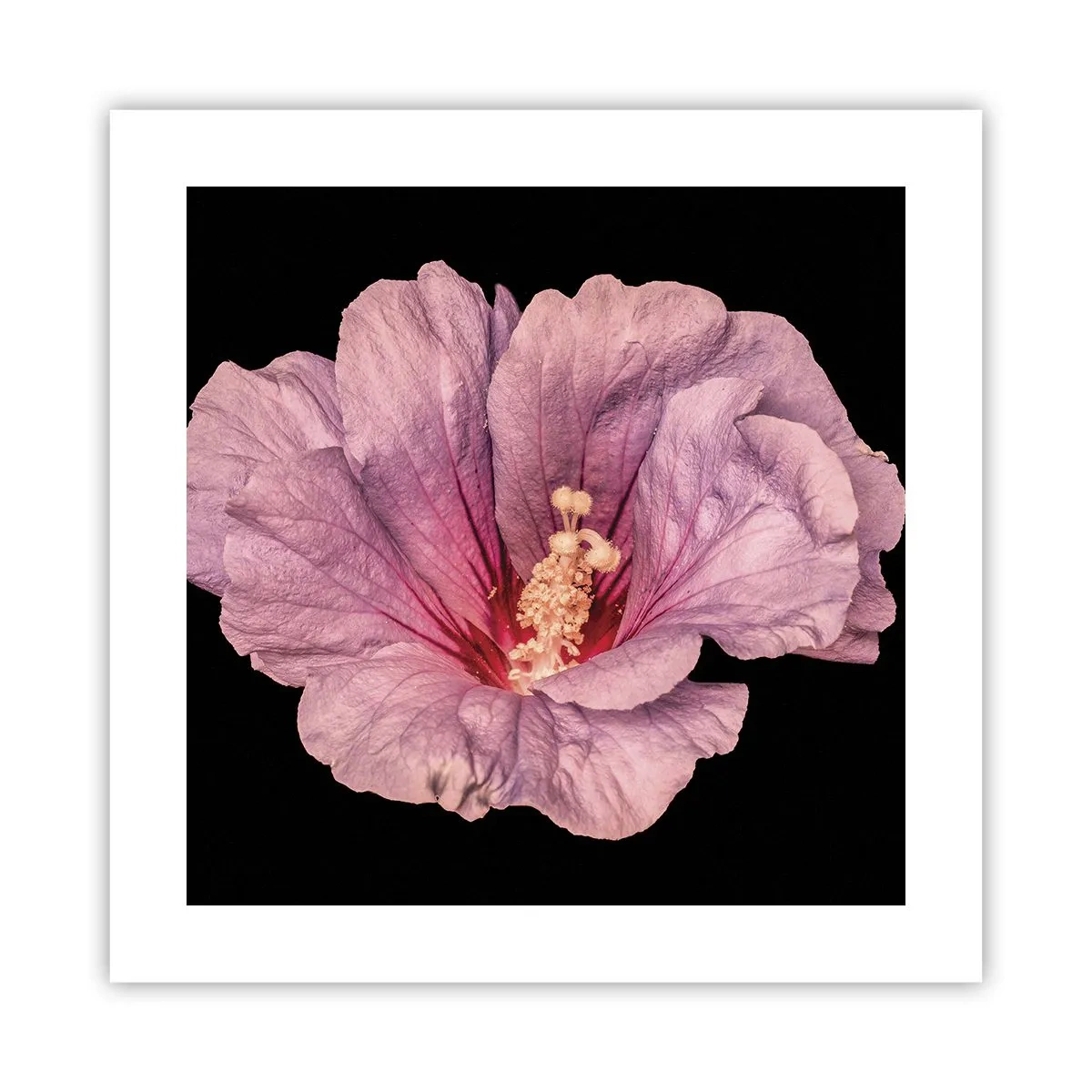 Poszter - Egyenesen a szív felé - 40x40 cm