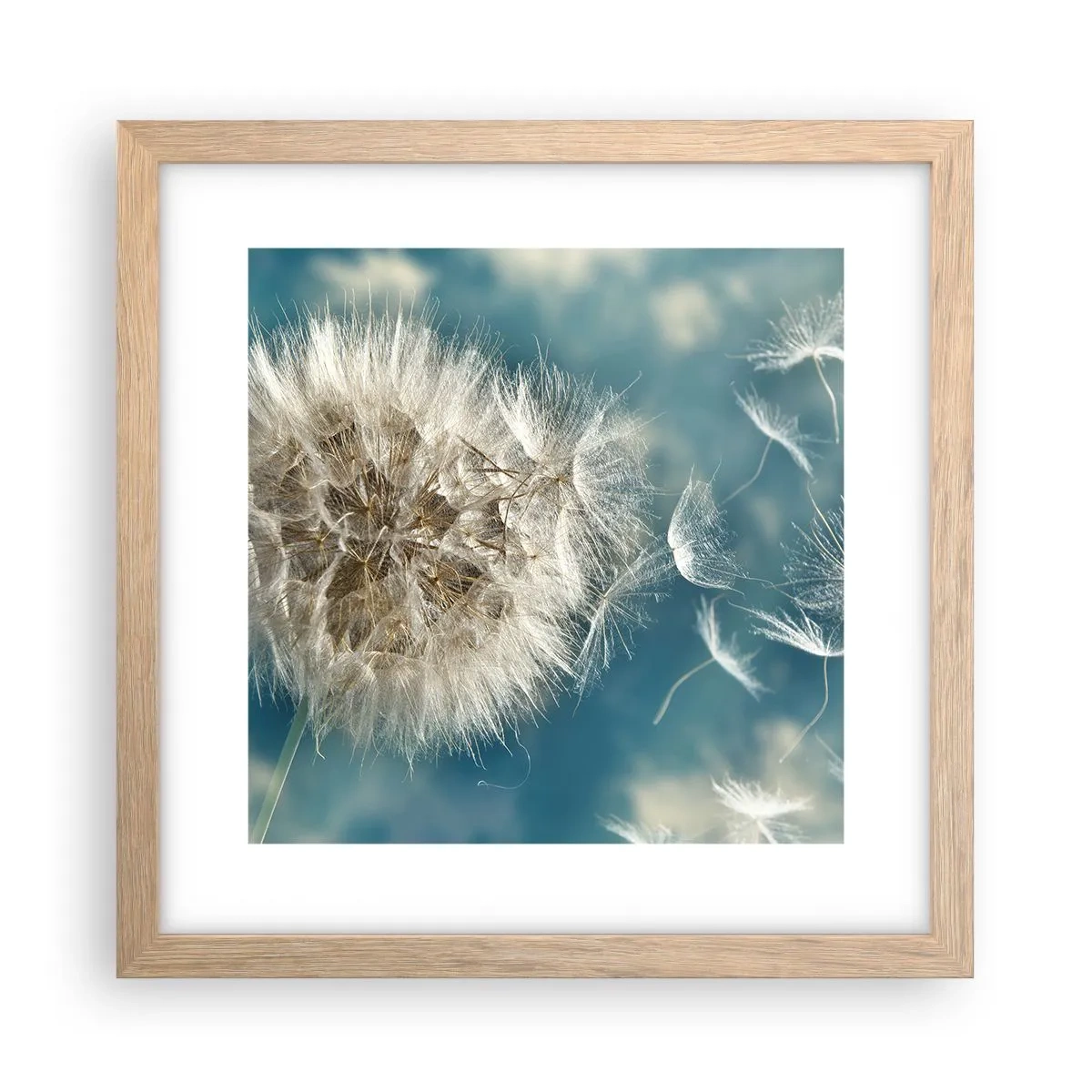 Poszter világos tölgy keretben - Angyal lehelete - 30x30 cm