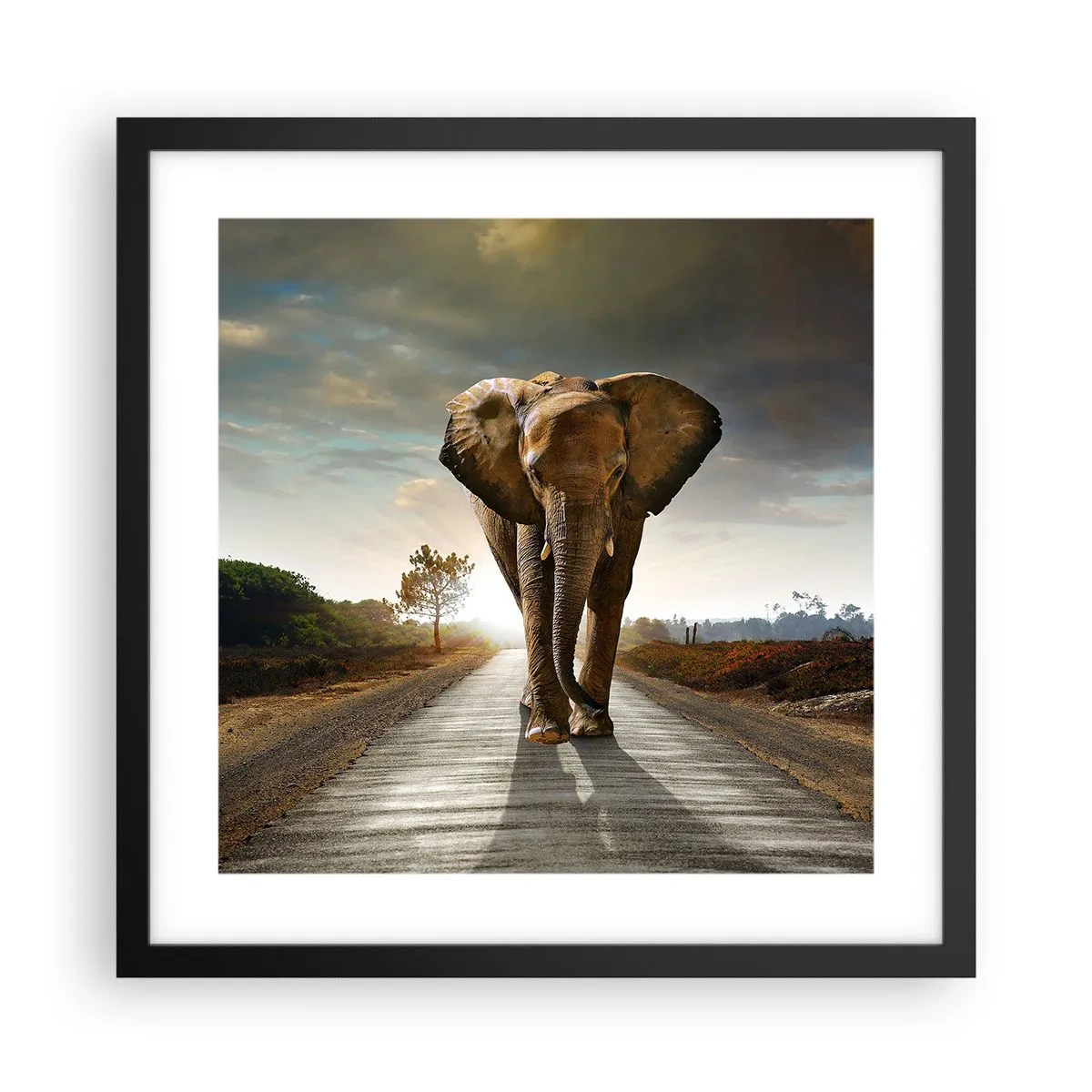 Poszter fehér keretben - És egyáltalán nem porcelánraktárban - 40x40 cm