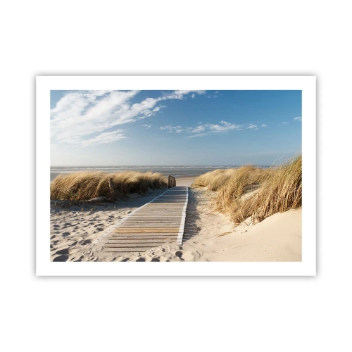 Poszter - A dűne mögött, a fű susogásában - 70x50 cm