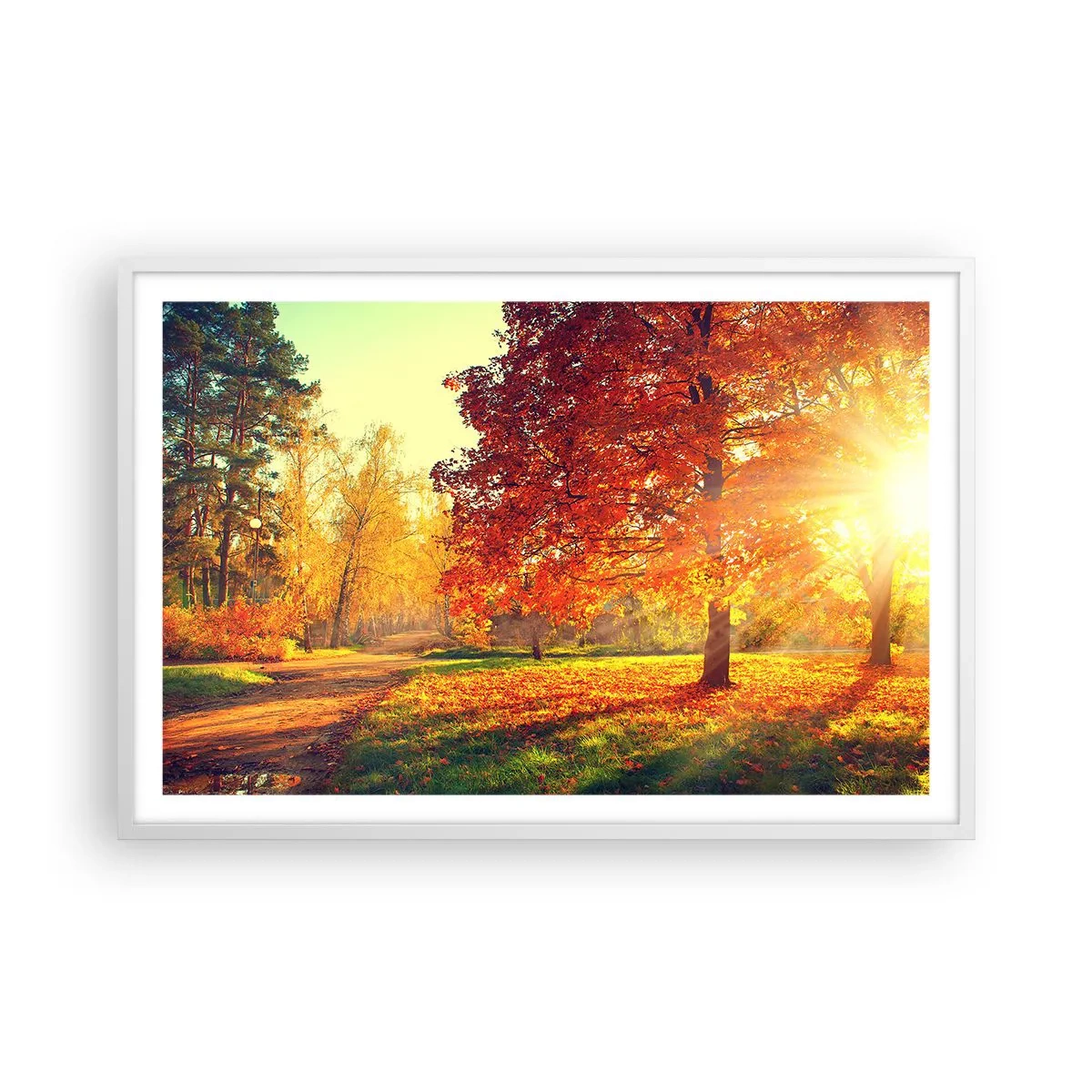 Poszter fekete keretben - A vörös gyönyörű - 91x61 cm