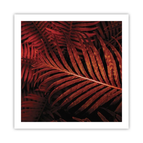 Poszter - Az élet vörös színe - 60x60 cm