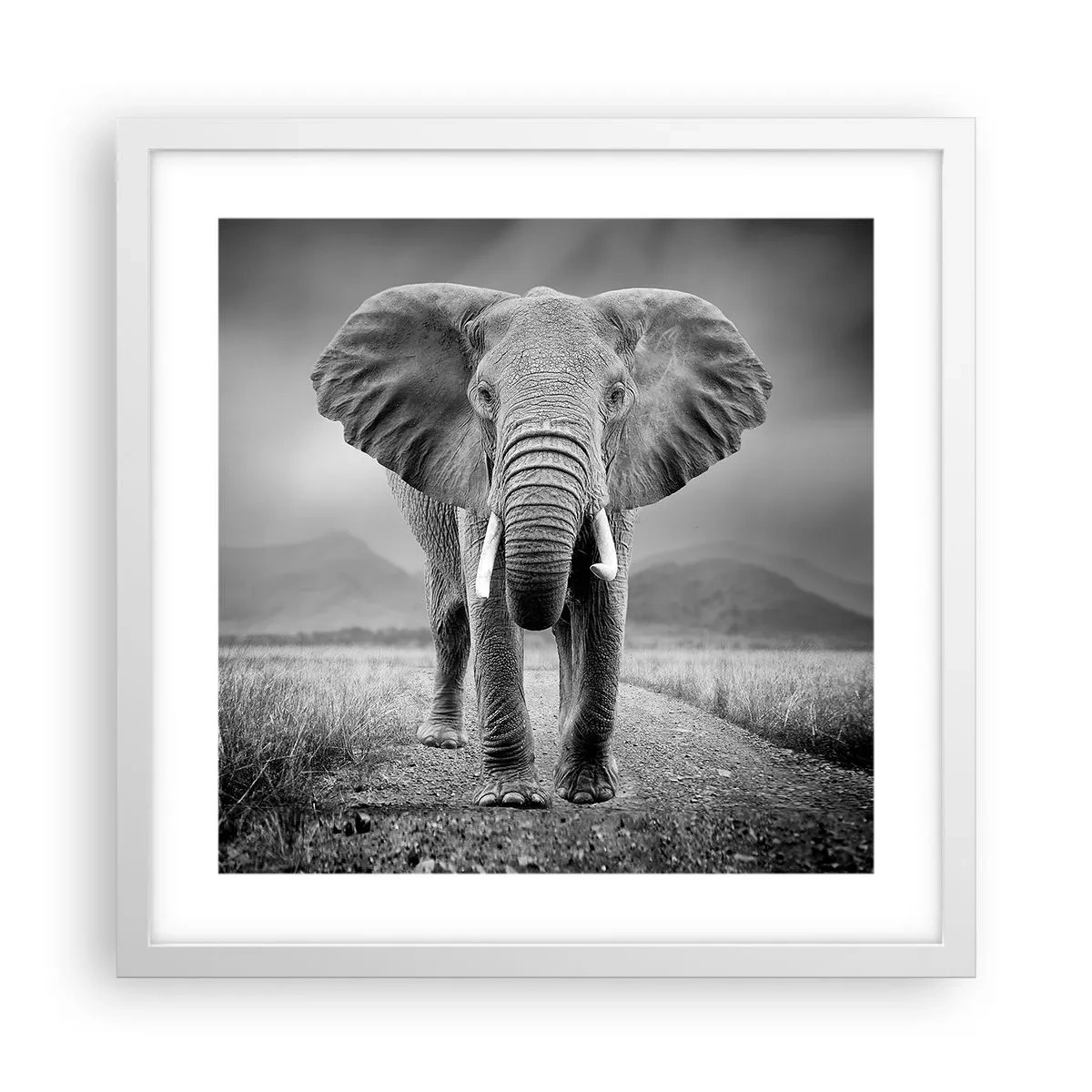 Poszter fekete keretben - A házigazda üdvözli - 40x40 cm