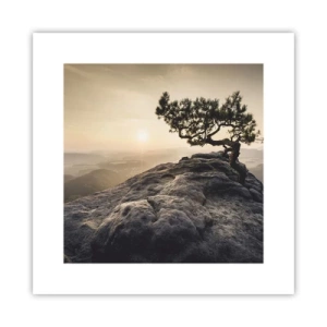 Poszter - Az élet mindig győz - 30x30 cm