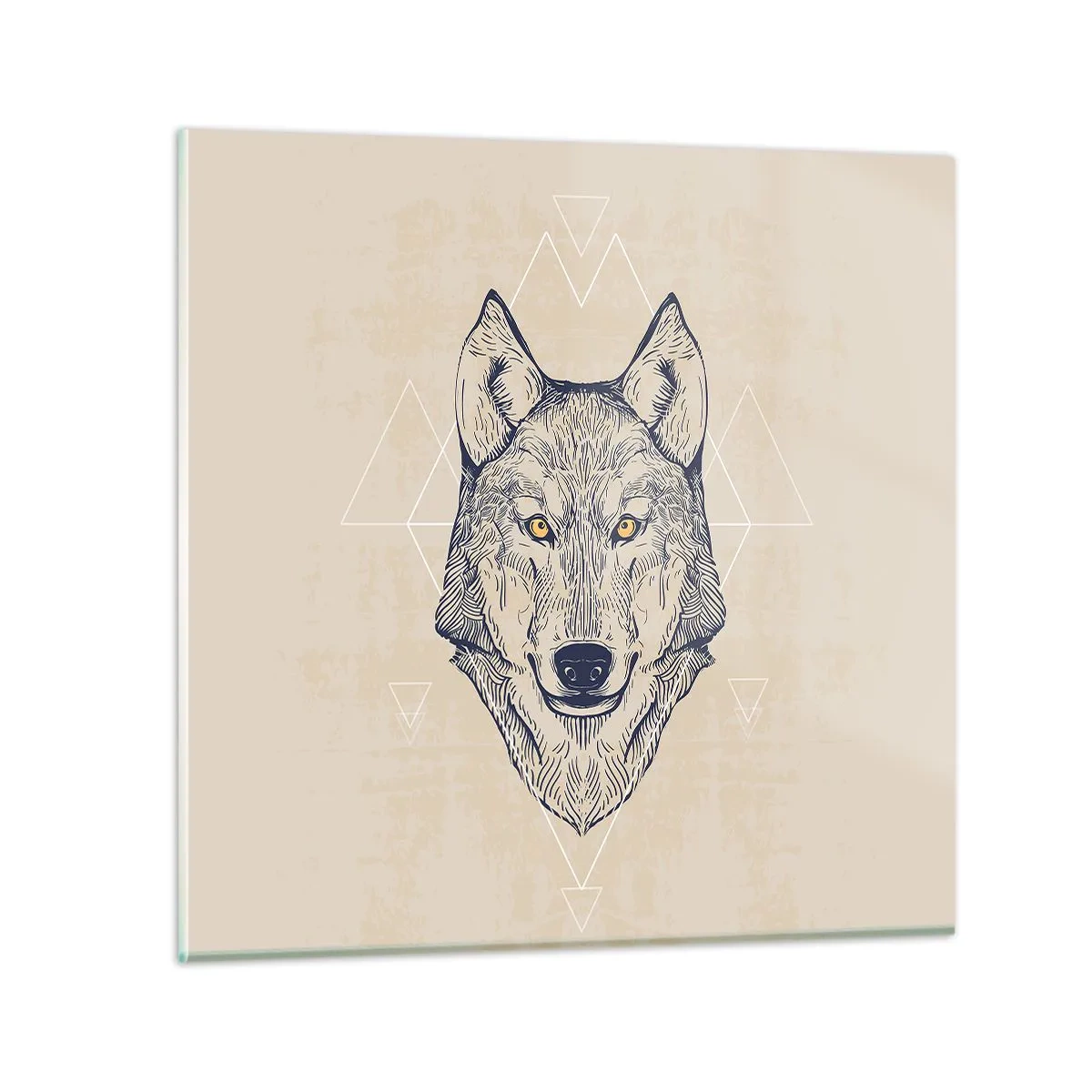 Üveg kép - Átható tekintetű alfa - 50x50 cm