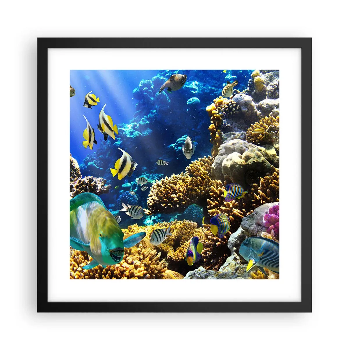 Poszter fehér keretben - Nagy forgalom a nyaraló ösvényen - 40x40 cm