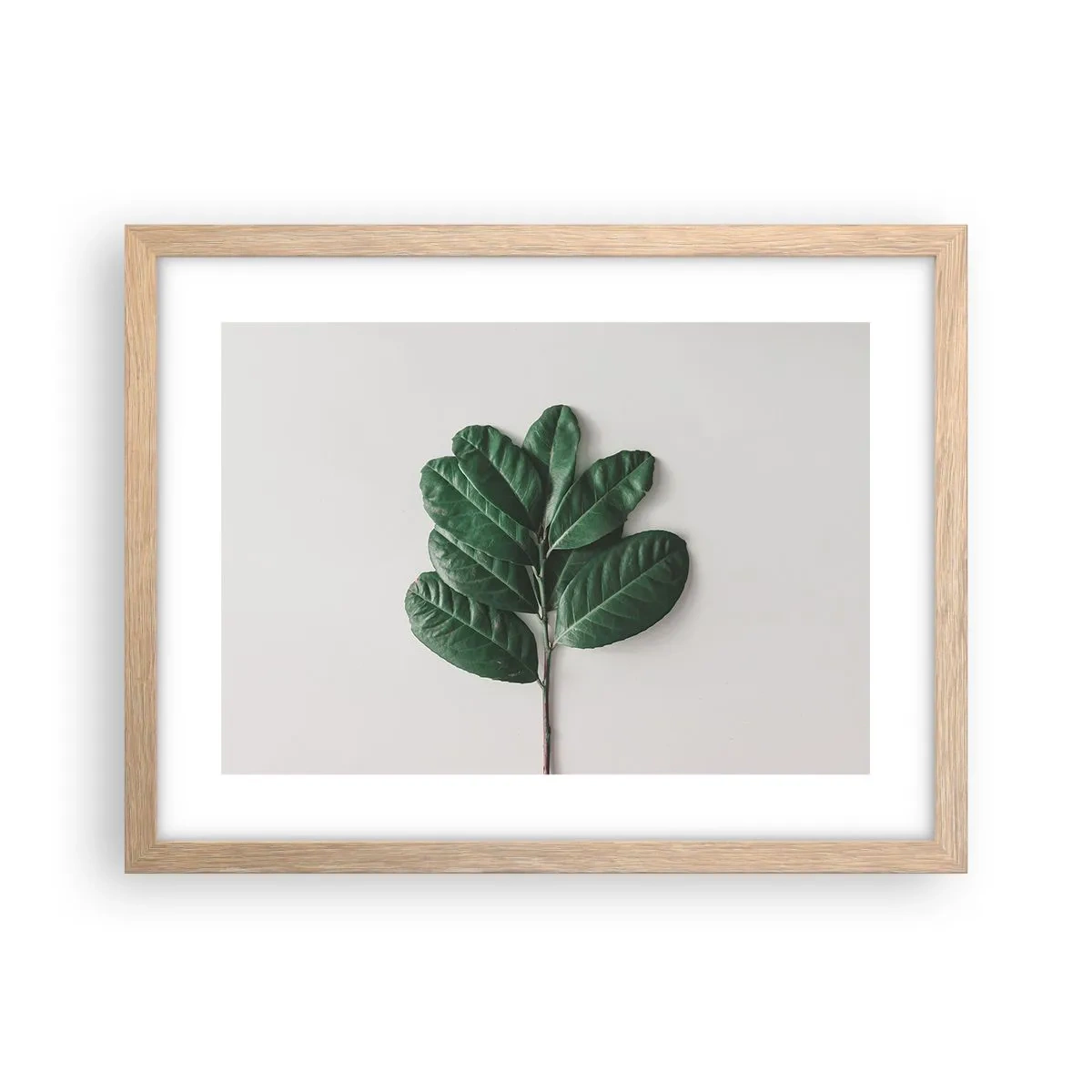 Poszter világos tölgy keretben - Rajz csak a természetről - 40x30 cm