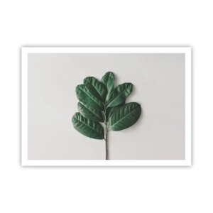 Poszter - Rajz csak a természetről - 100x70 cm