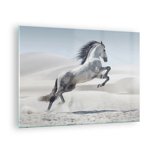 Üveg kép - Egy fehér ló ugrik a sivatagi dűnék hátterében - 70x50cm - arab herceg - Modern fali dekoráció nappalihoz és hálószobához ARTTOR