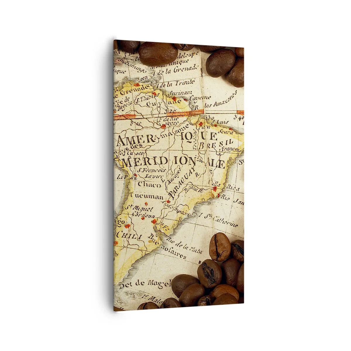 Vászonkép - Honnan származik a legjobb kávé? - 65x120 cm