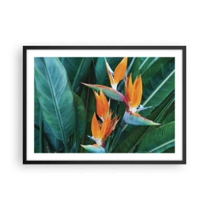 Poszter fehér keretben - Virág vagy madár? - 70x50 cm