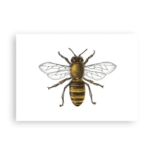 Poszter - Gyönyörű és jó - 70x50 cm