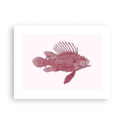 Poszter - Egzotikus vizek lakója - 40x30 cm