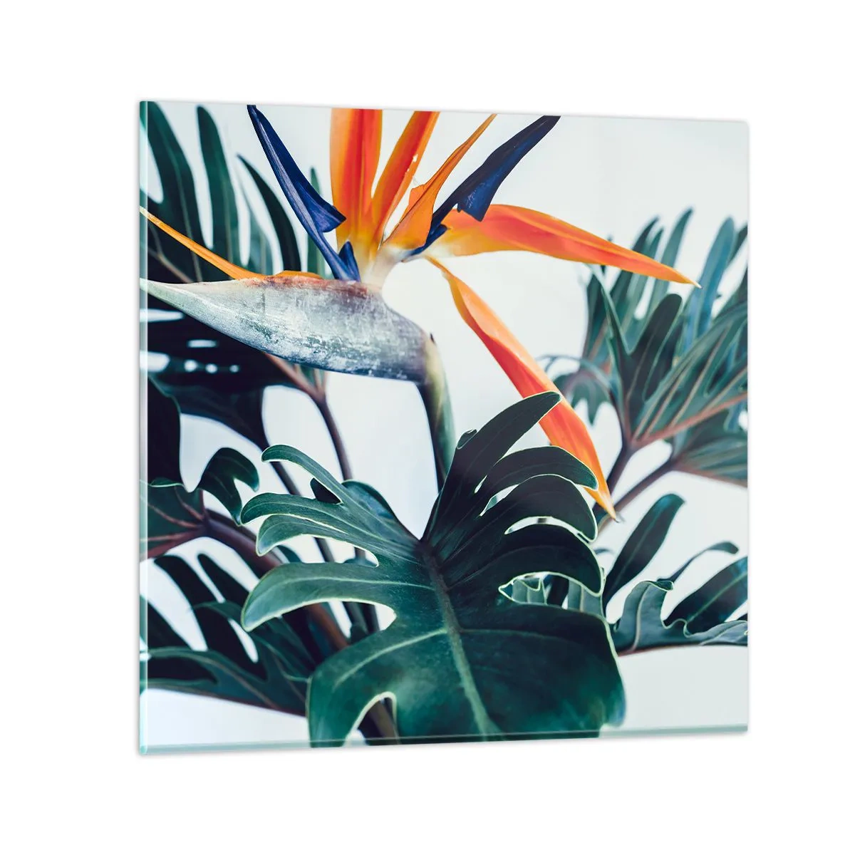 Üveg kép - Madárkalitka - 50x50 cm