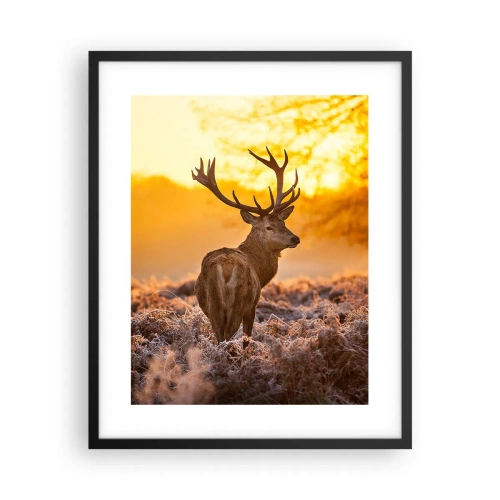 Poszter fehér keretben - Az őszi erdő királya - 40x50 cm