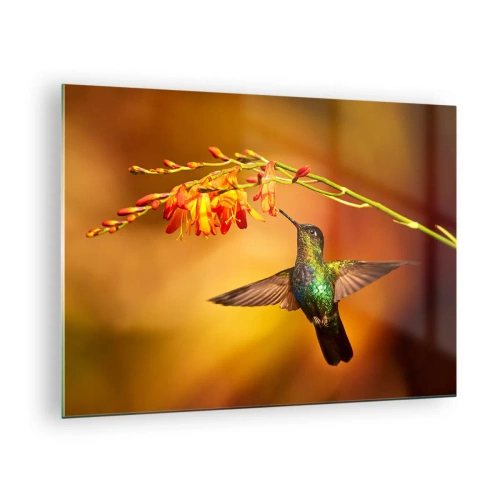 Üveg kép - Kolibri virágok mellett, aranyló fényben - 70x50cm - A fény hírnöke a maják szerint - Modern fali dekoráció nappalihoz és hálószobához ARTTOR
