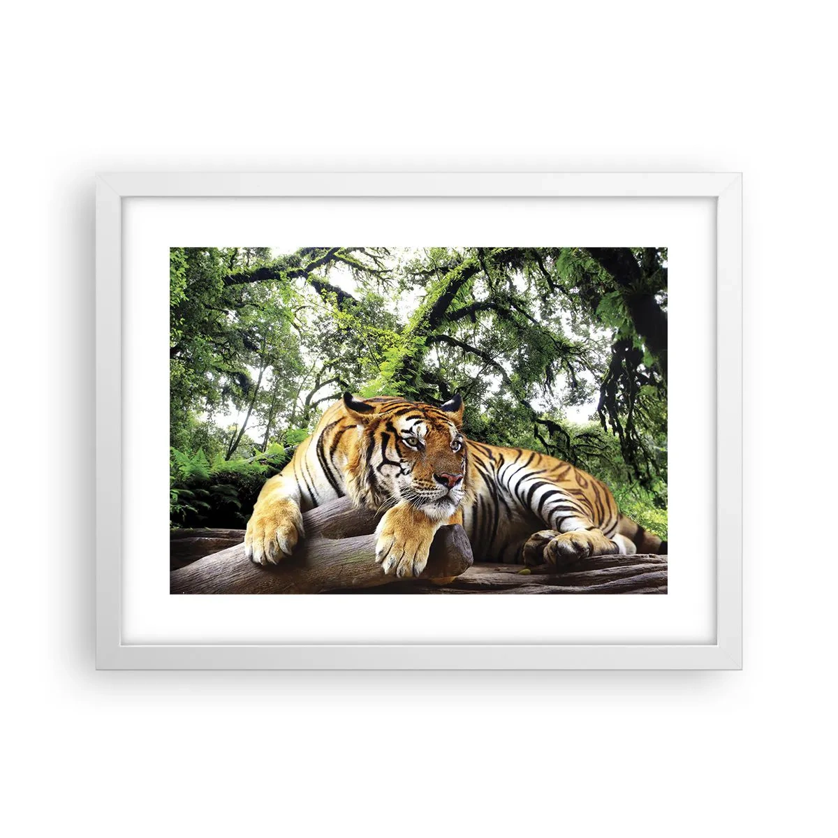 Poszter fekete keretben - Tisztelettel - 40x30 cm