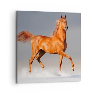 Vászonkép - Táncoló szépség - 50x50 cm