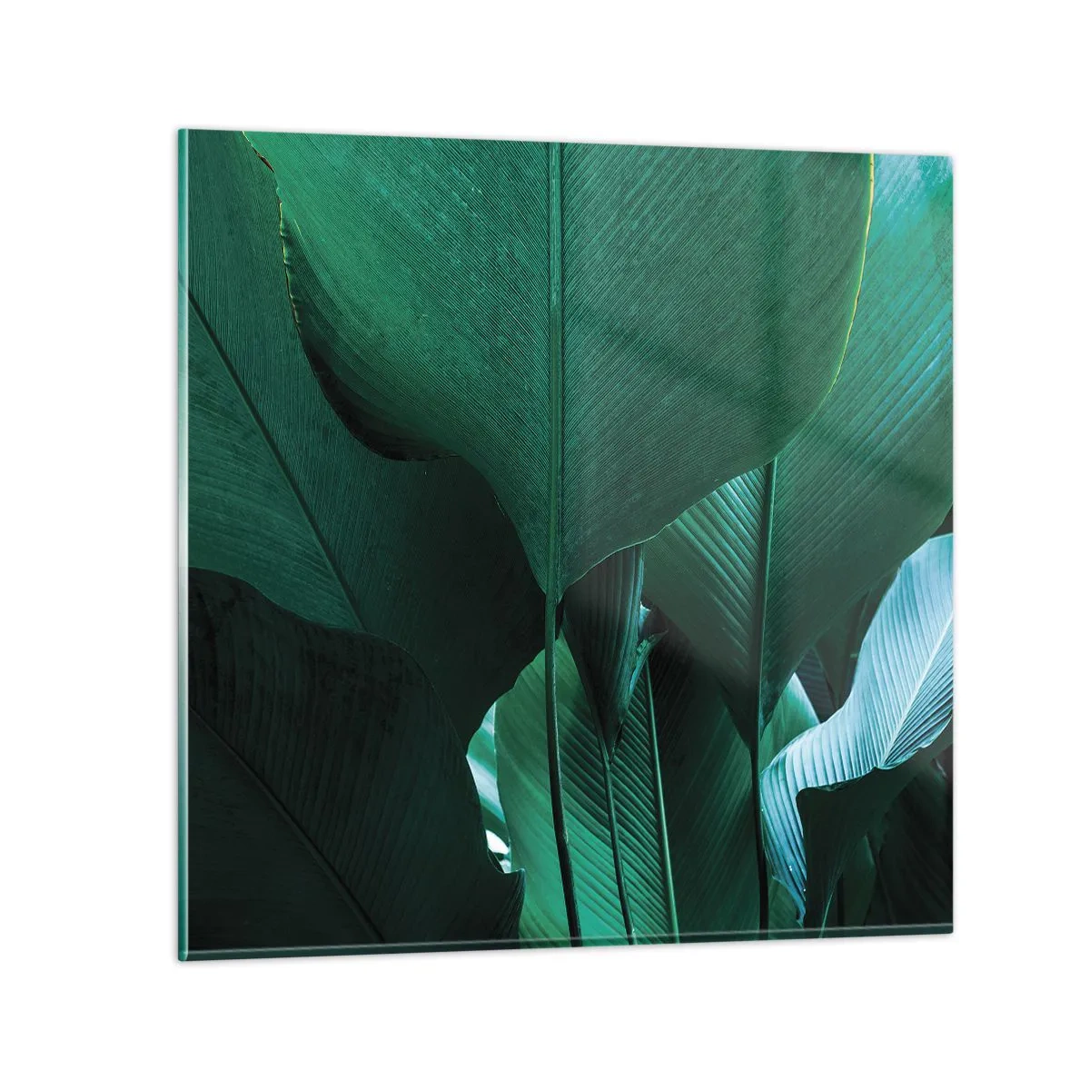 Üveg kép - A fény felé nézve - 50x50 cm