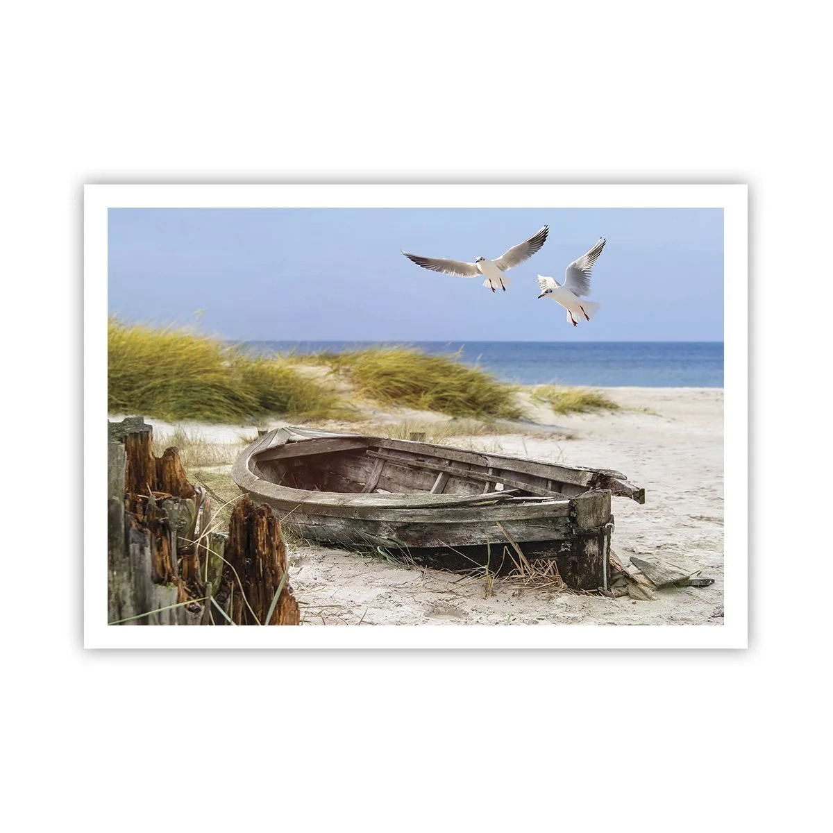 Poszter - Szélben fürödve - 100x70 cm