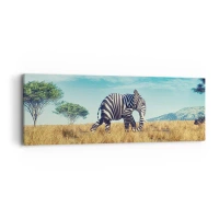 90x30 cm | Panoramikus