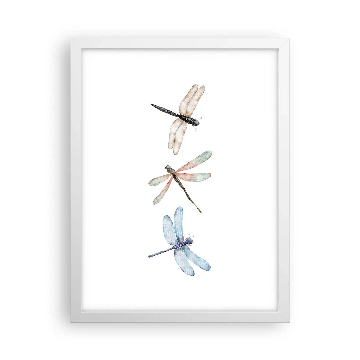 Poszter fekete keretben - Súlytalan szitakötők - 30x40 cm