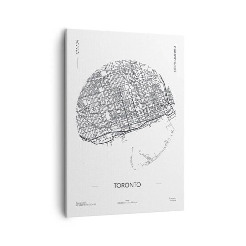 Vászonkép - Toronto anatómiája - 50x70 cm