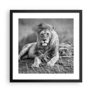 Poszter fehér keretben - Királyi szieszta - 40x40 cm