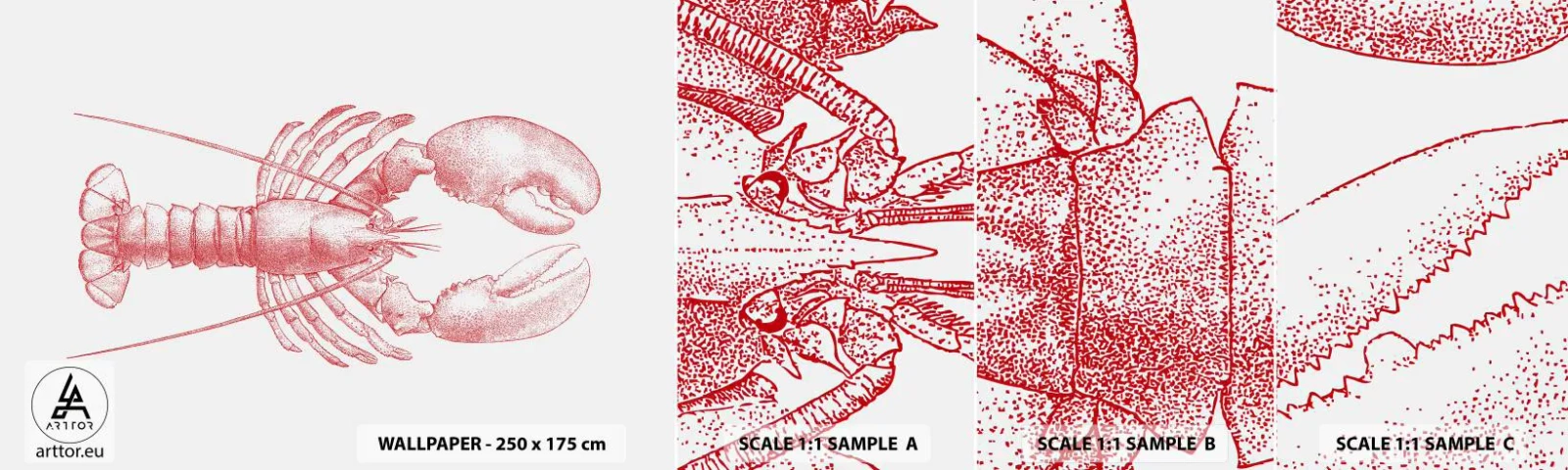 Fotótapéta Minta Standard Eco - Homéroszhoz méltó homár - Homár, Tenger gyümölcsei, Kagylófélék - 100x30 cm