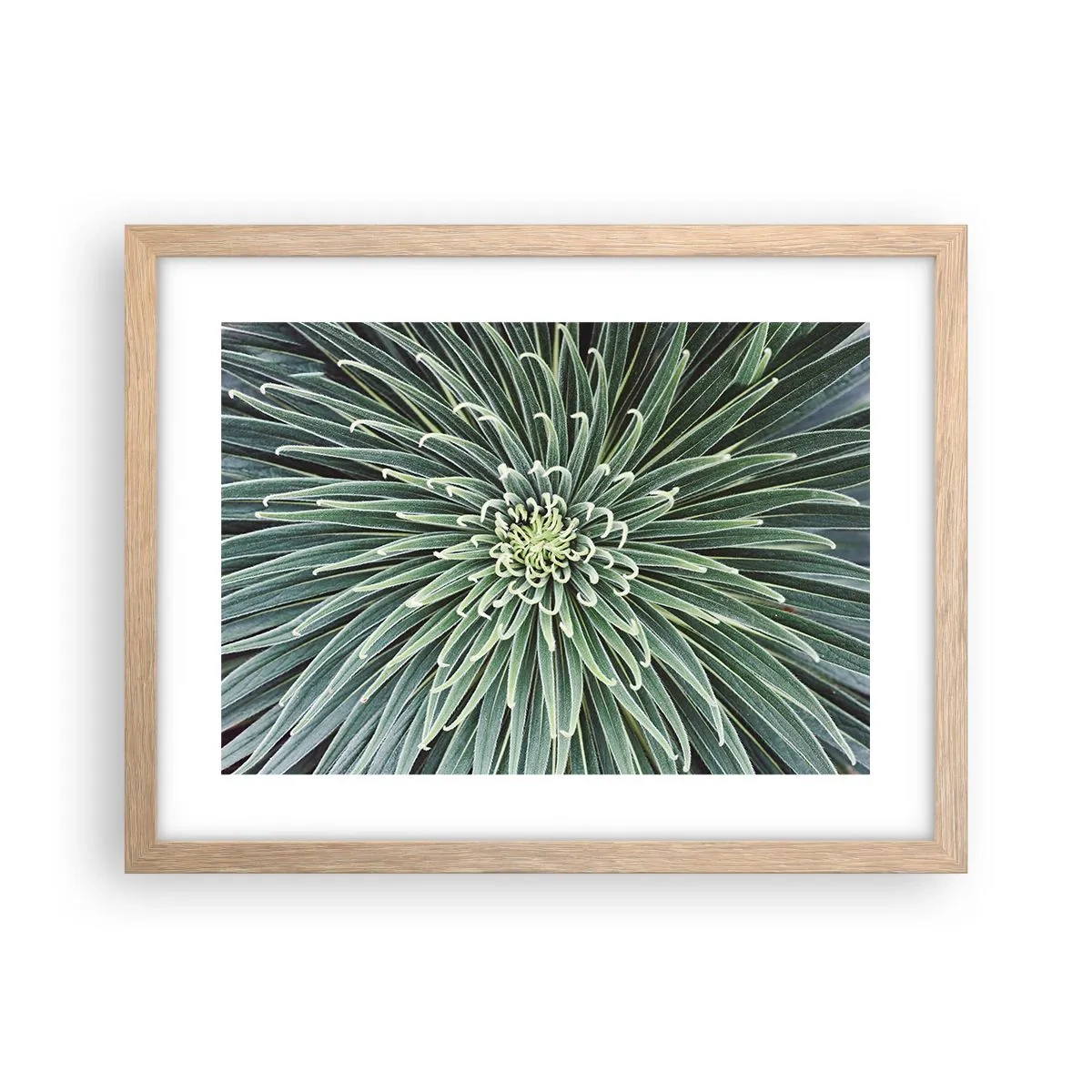 Poszter világos tölgy keretben - Csillag születik - 40x30 cm