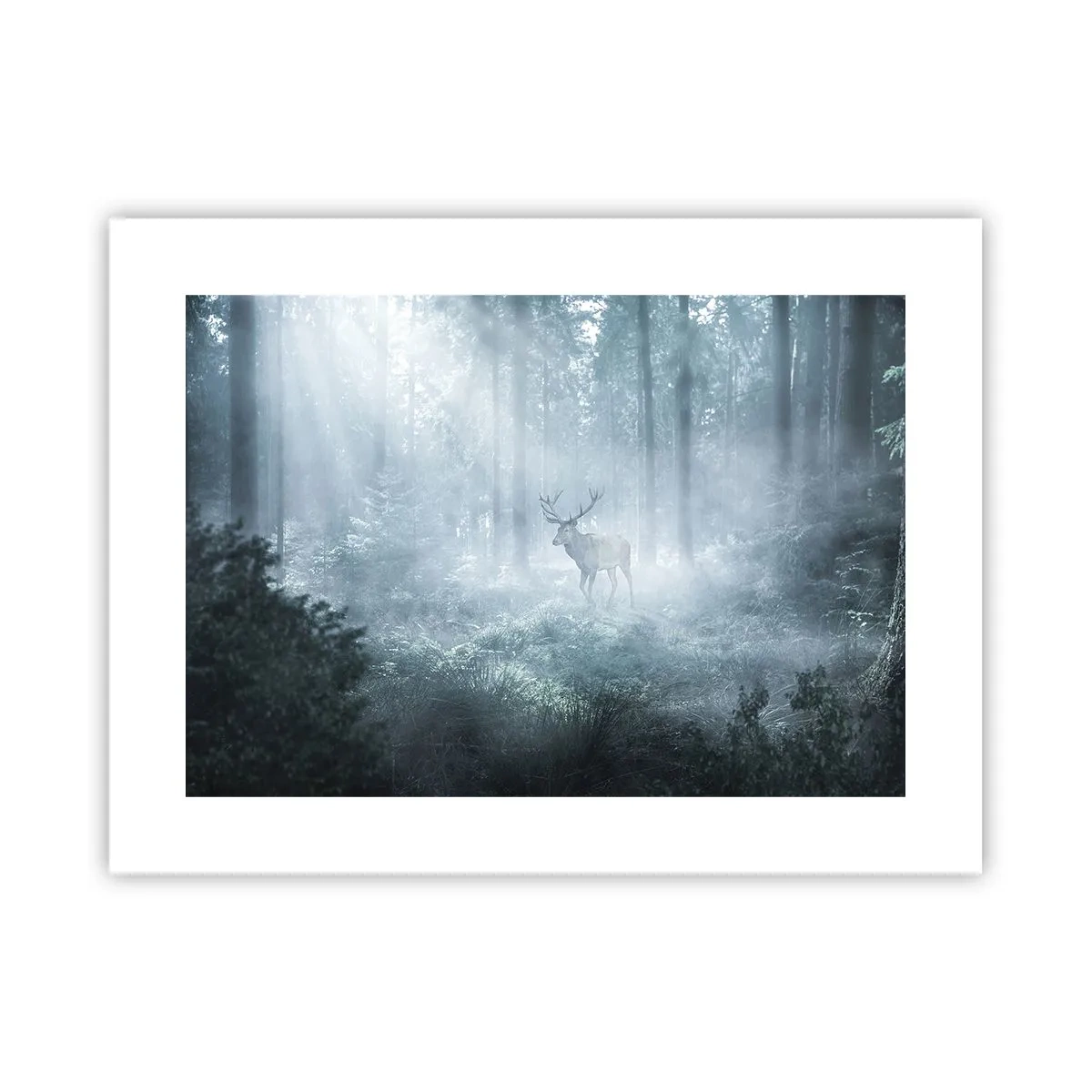 Poszter - Reggeli birtokellenőrzés - 40x30 cm