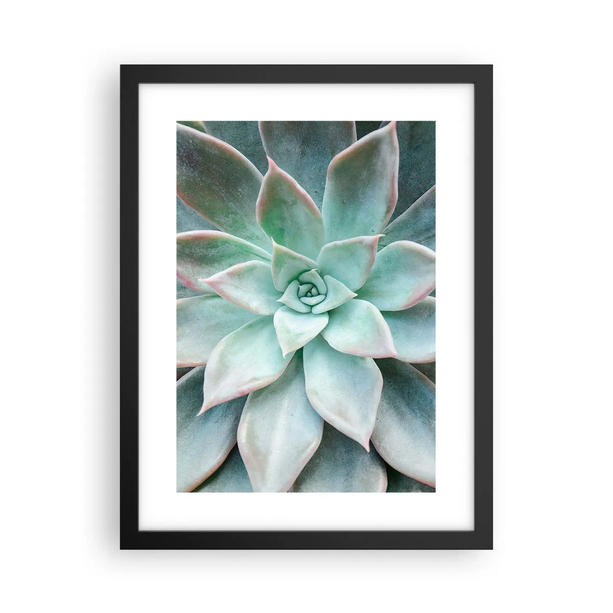 Poszter fehér keretben - A sivatag szíve - 30x40 cm