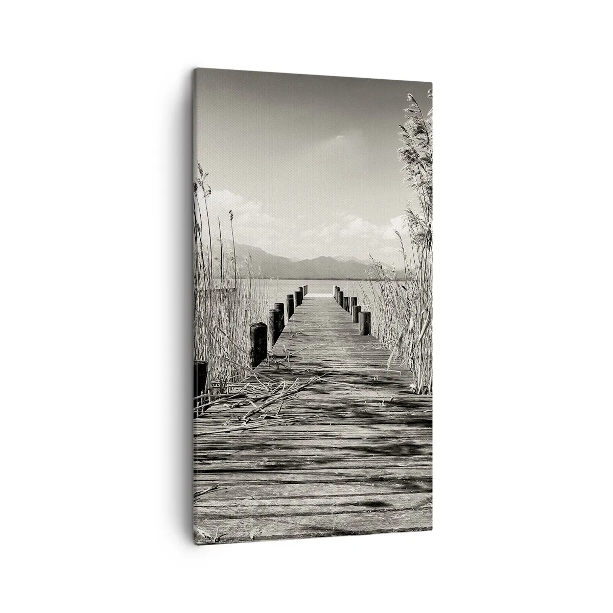 Vászonkép - A fű csendjében - 45x80 cm