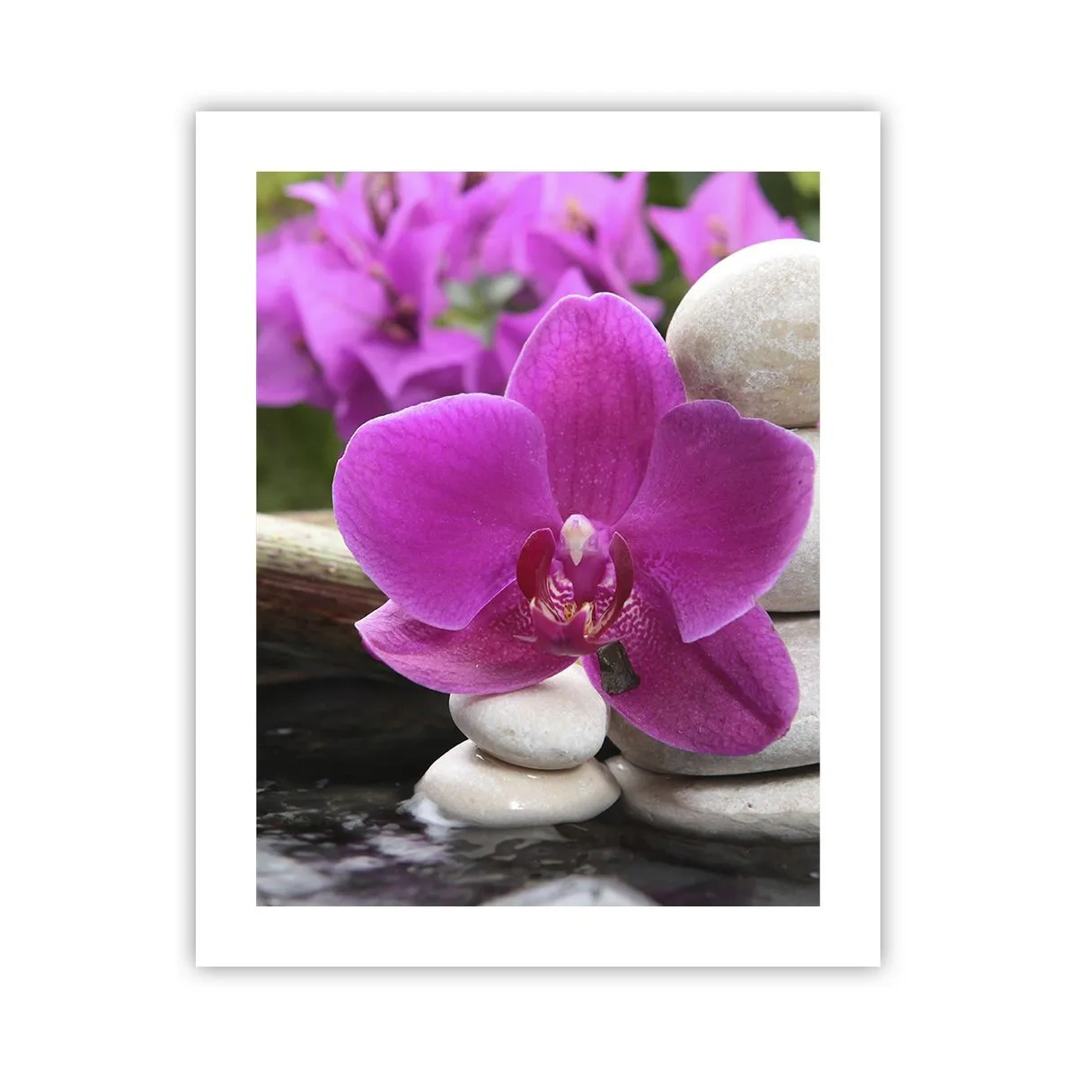 Poszter - Már pihensz - 40x50 cm