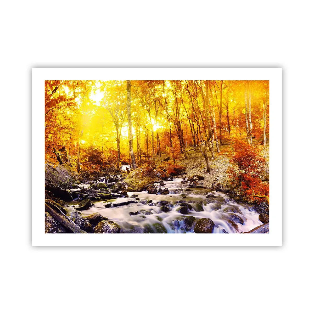 Poszter - Kövek aranyba és platinába - 70x50 cm